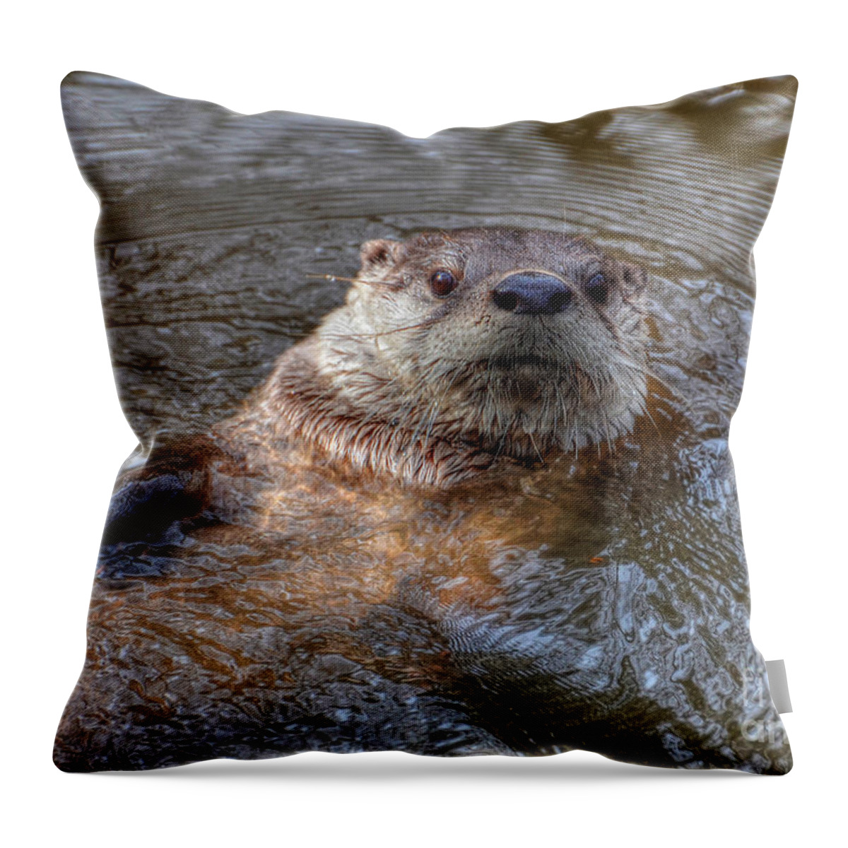 Otter Throw Pillow featuring the photograph River Otter by Kathy Baccari