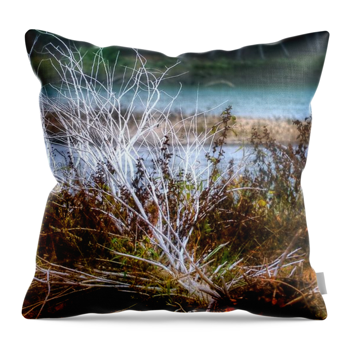 Nature Landscape Throw Pillow featuring the photograph Riverside Treasures by Peggy Franz