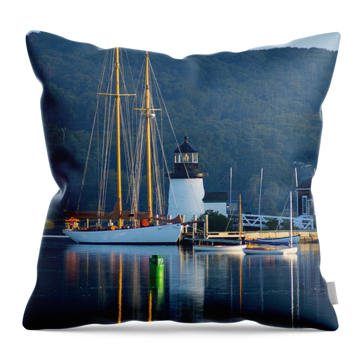 Mystic Throw Pillow featuring the photograph Riverview by Joe Geraci