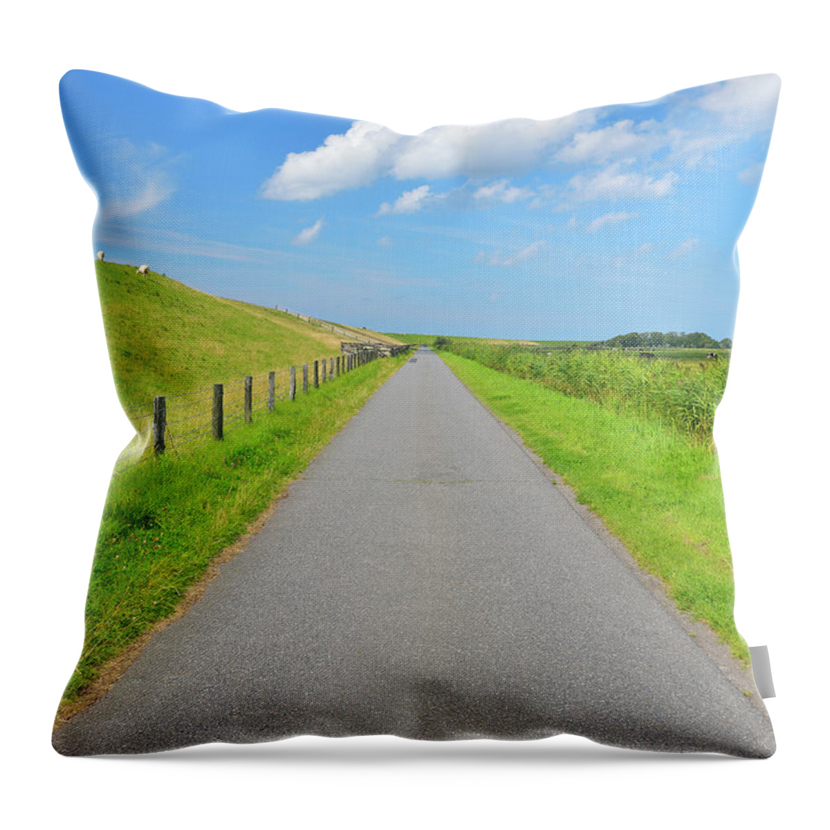 Grass Throw Pillow featuring the photograph Road Behind The Dike by Raimund Linke