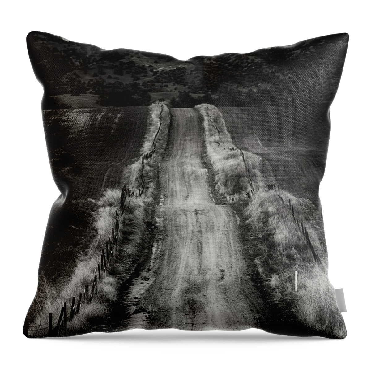 Road Throw Pillow featuring the photograph Road Into The Hills by Robert Woodward