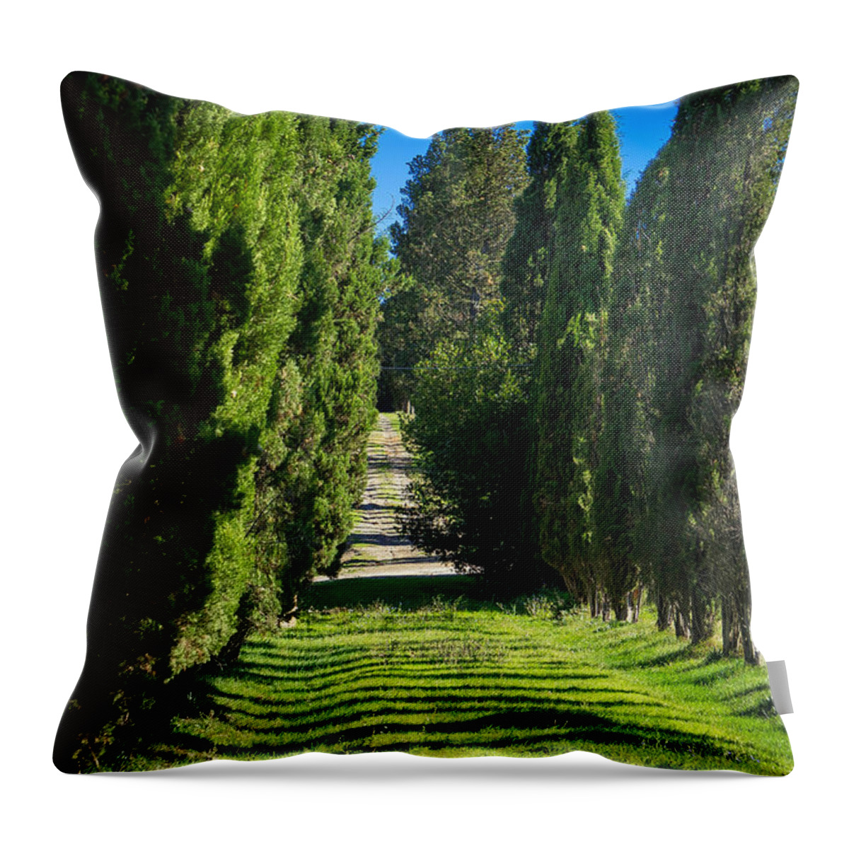 Tuscany Throw Pillow featuring the photograph Road by Milena Boeva