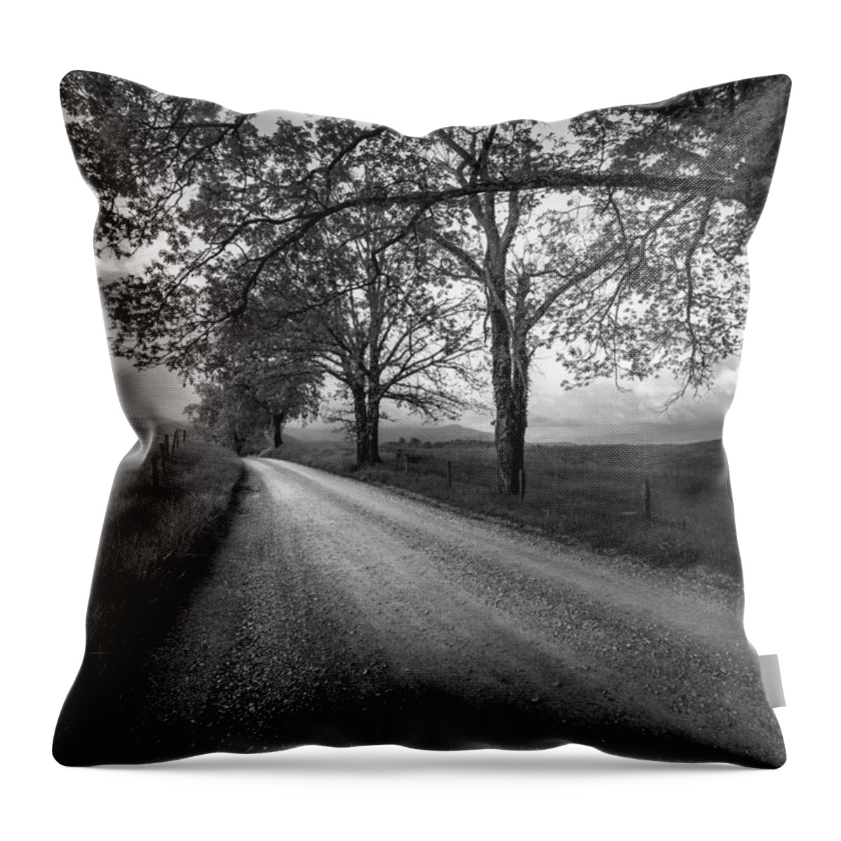 Horizontal Throw Pillow featuring the photograph Road not Traveled by Jon Glaser