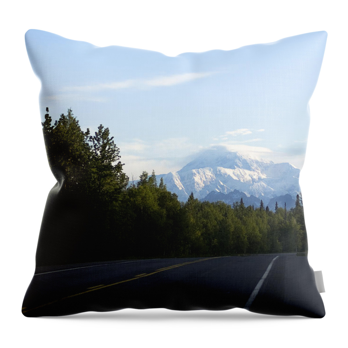 Alaska Throw Pillow featuring the photograph Road to Denali by Tara Lynn
