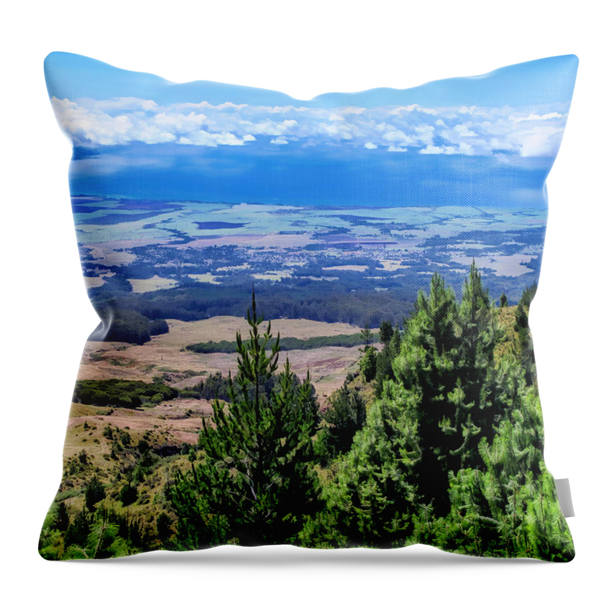 Hawaii Throw Pillow featuring the photograph Road to Haleakala 9 by Dawn Eshelman