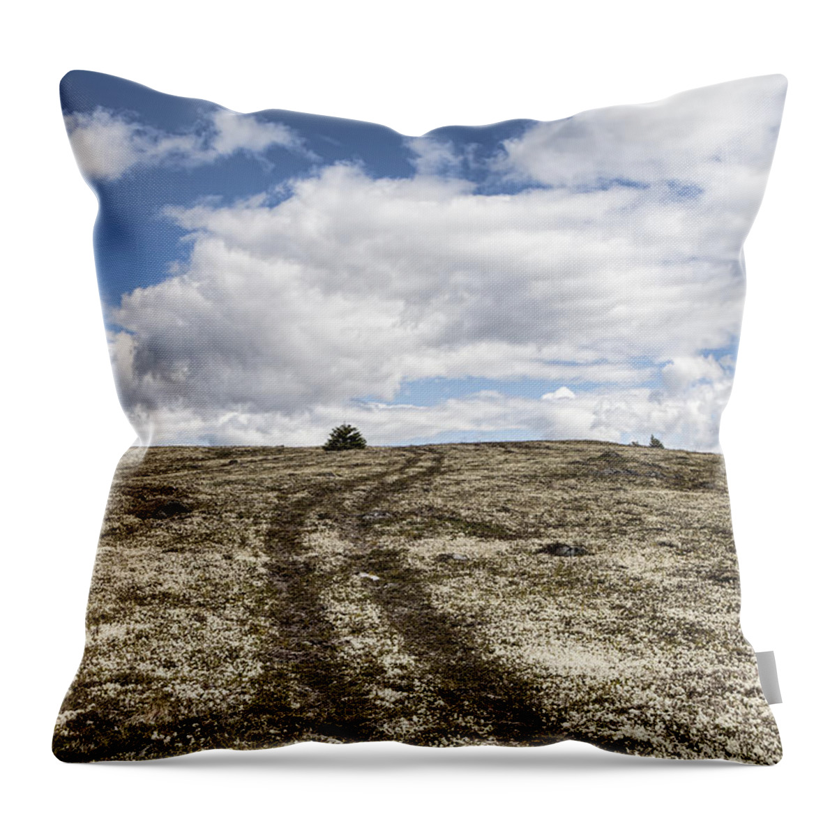 Canada Throw Pillow featuring the photograph Road to Nowhere by Michele Cornelius