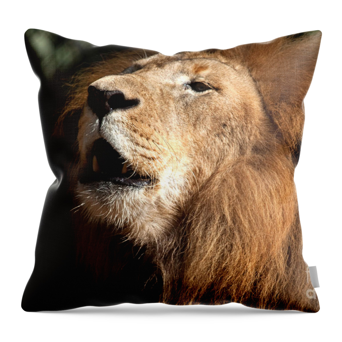 Lion Throw Pillow featuring the photograph Roar - African Lion by Meg Rousher