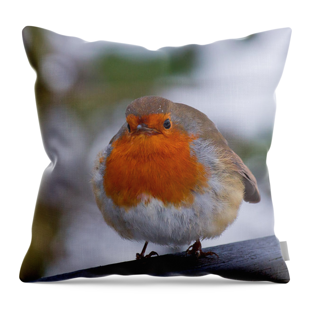 Robin Throw Pillow featuring the photograph Robin 1 by Scott Carruthers