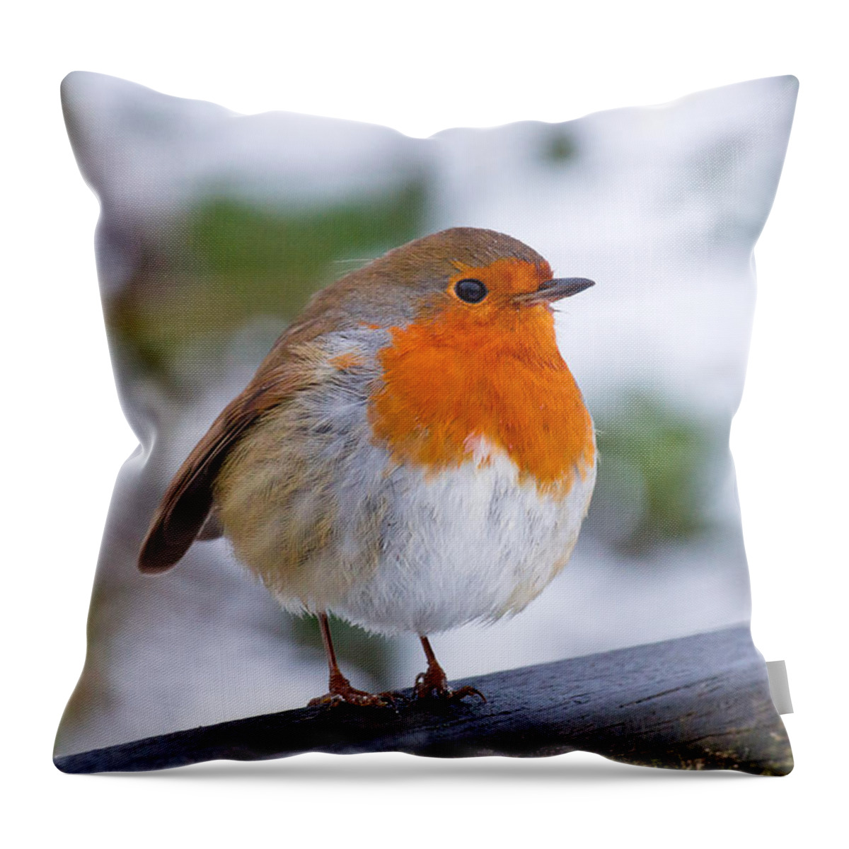 Robin Throw Pillow featuring the photograph Robin Redbreast by Scott Carruthers