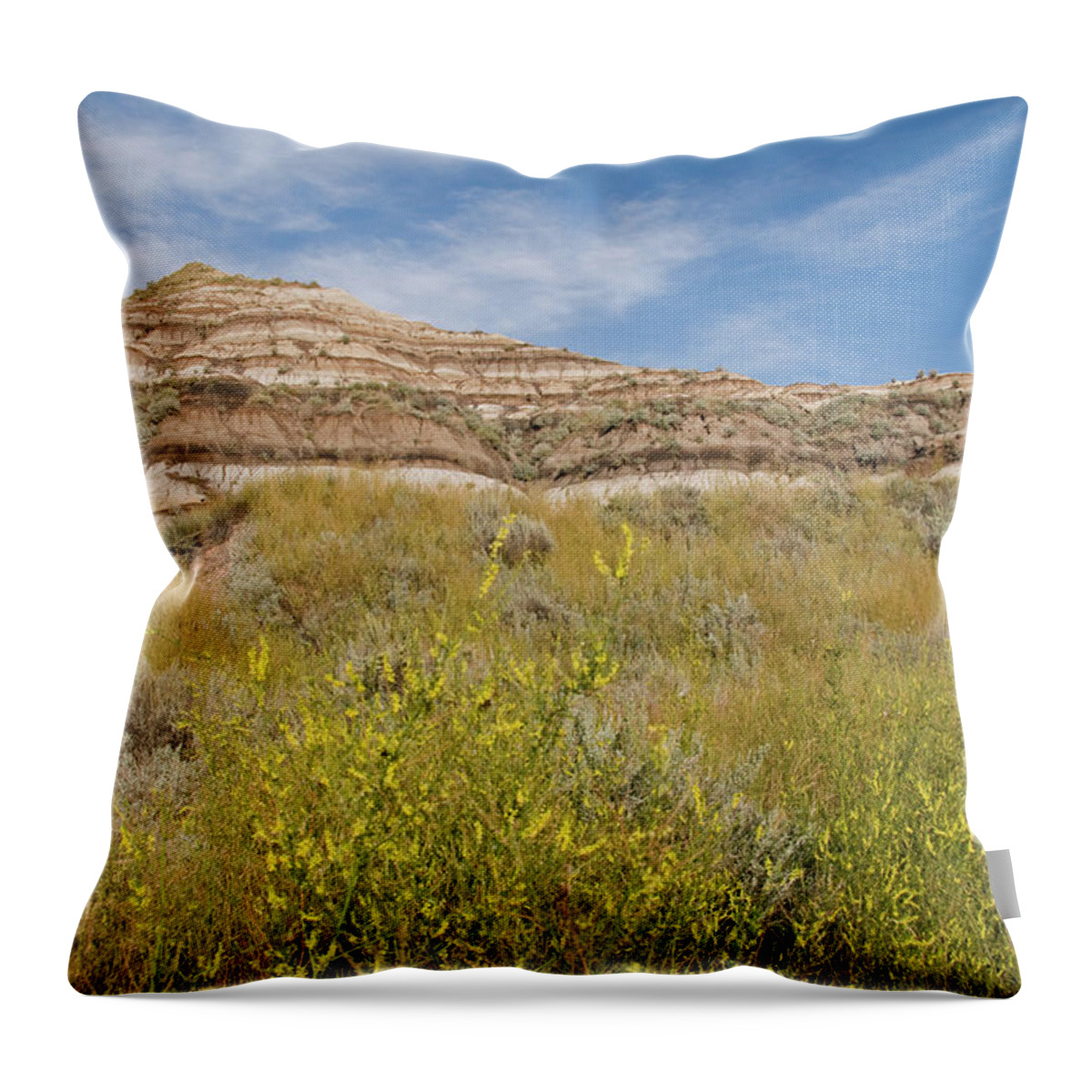 Scenics Throw Pillow featuring the photograph Rock Formations In The Drumeller Valley by Wildroze