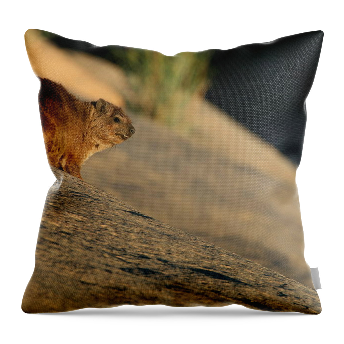 Hyrax Throw Pillow featuring the photograph Rock Hyrax by Bruce J Robinson