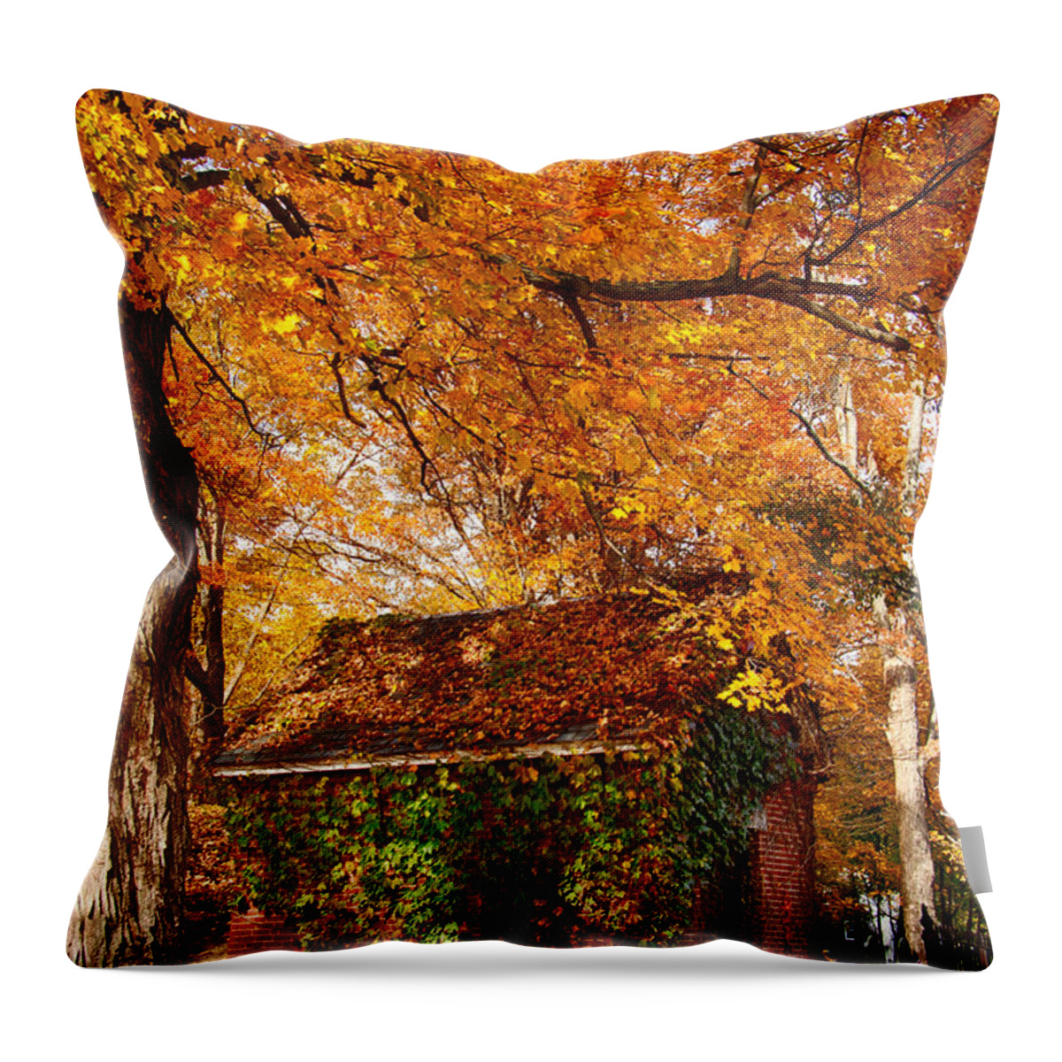 Autumn Foliage New England Throw Pillow featuring the photograph Rock of ages surrouded by color by Jeff Folger
