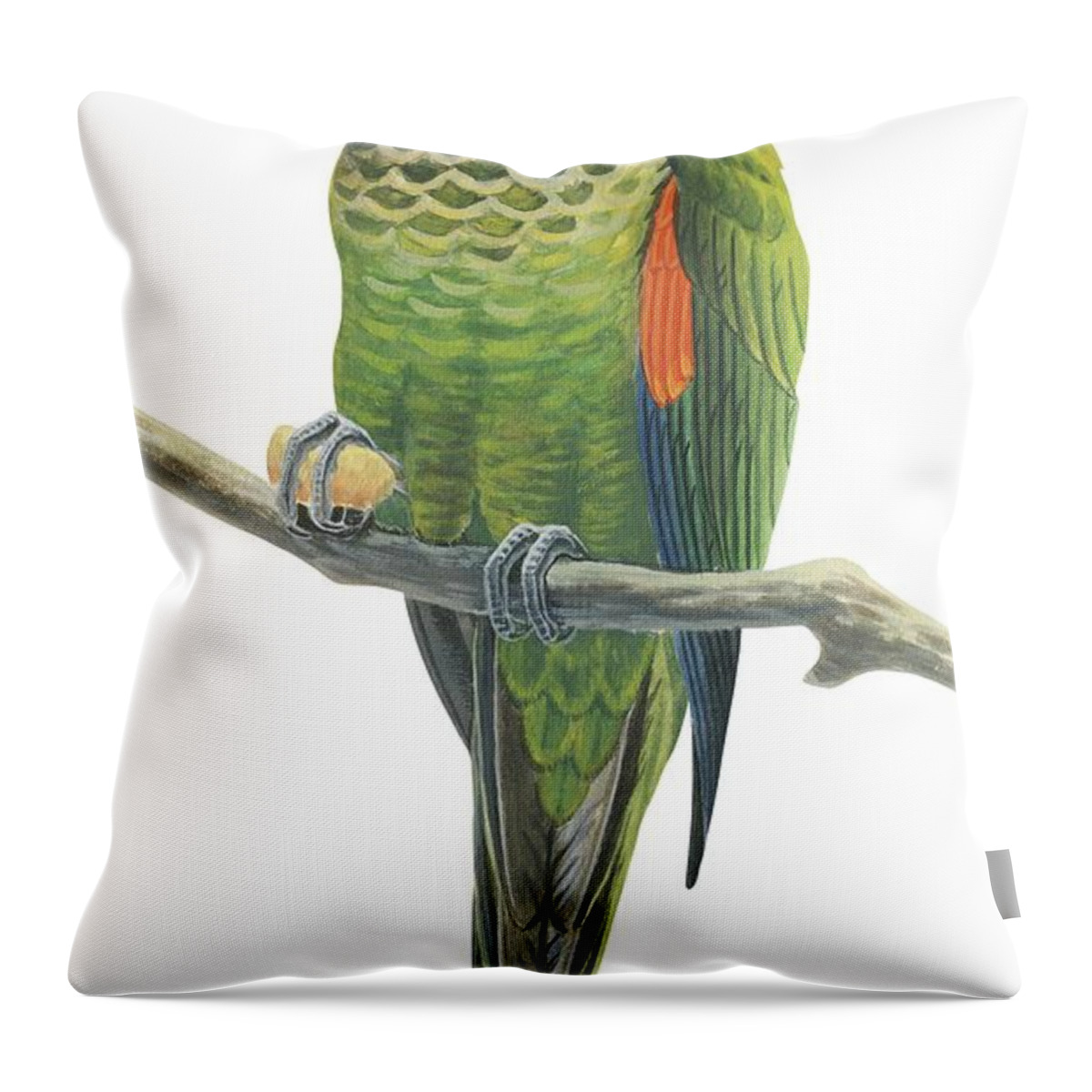 No People; Vertical; White Background; One Animal; Nature; Wildlife; Illustration And Painting; Rock Parakeet; Pyrrhura Rupicola; Zoology; Green; Perching; Branch Throw Pillow featuring the drawing Rock parakeet by Anonymous