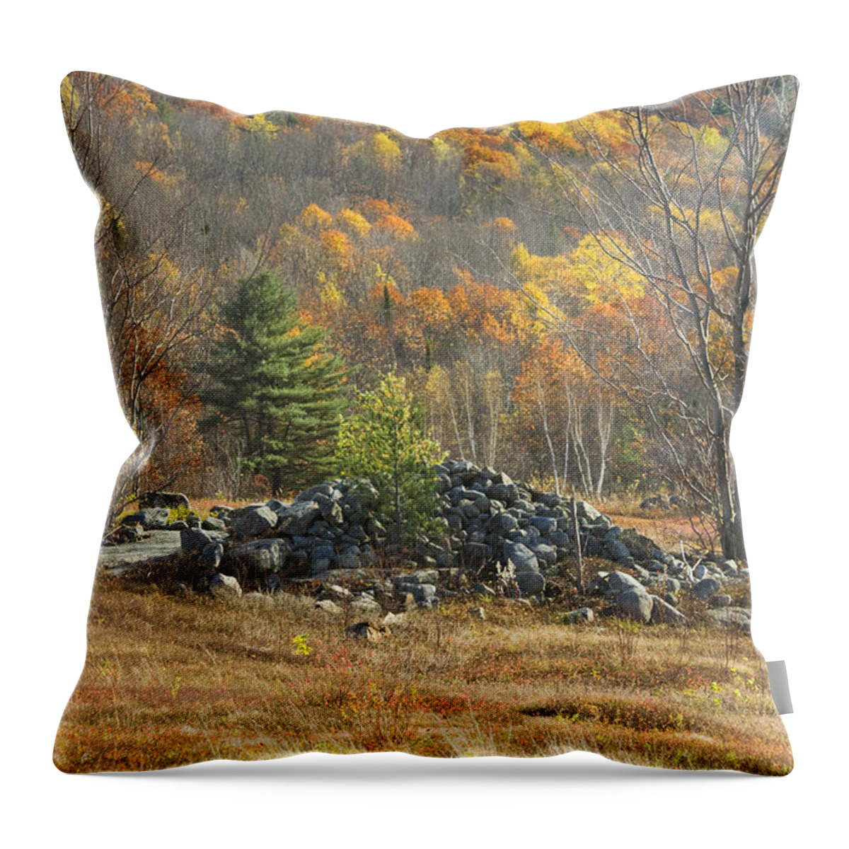 Maine Throw Pillow featuring the photograph Rock Pile In Maine Blueberry Field by Keith Webber Jr