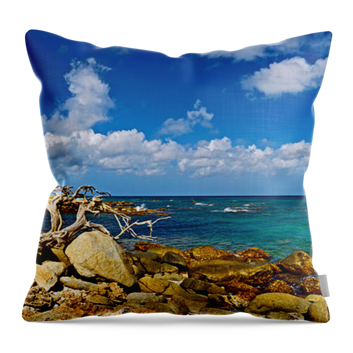 Photography Throw Pillow featuring the photograph Rocks At The Coast, Aruba by Panoramic Images