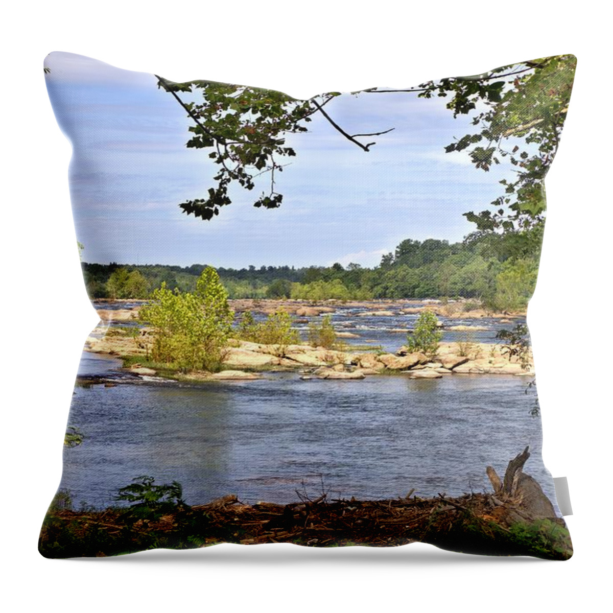 8701 Throw Pillow featuring the photograph Rocks in the River by Gordon Elwell