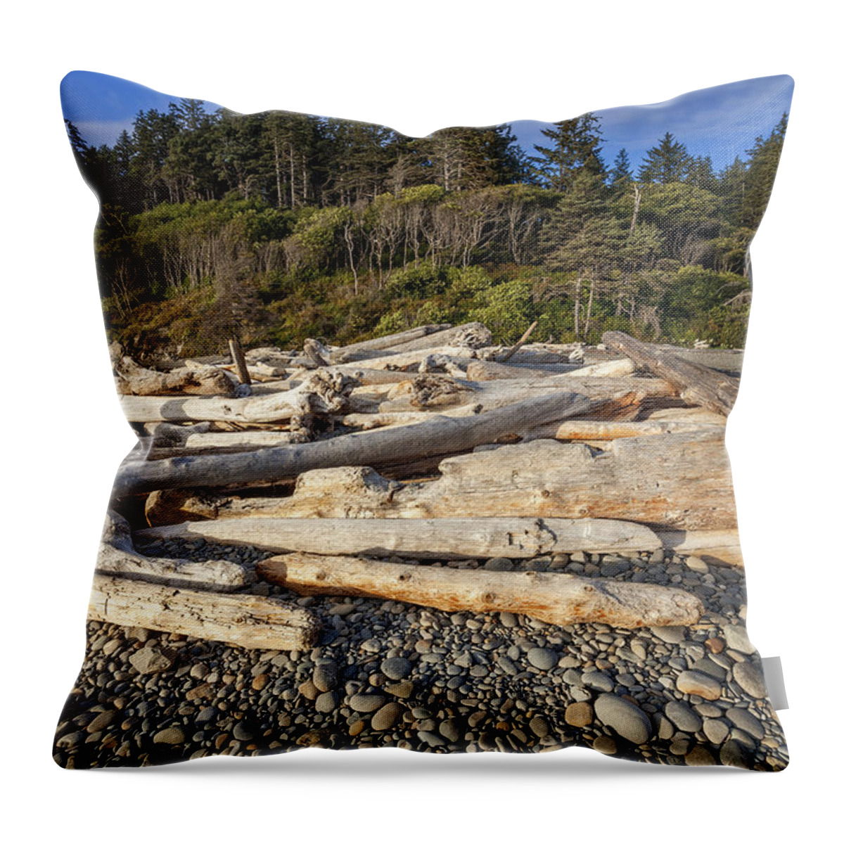 Beach Throw Pillow featuring the photograph Rocky Beach and Driftwood by Bryan Mullennix