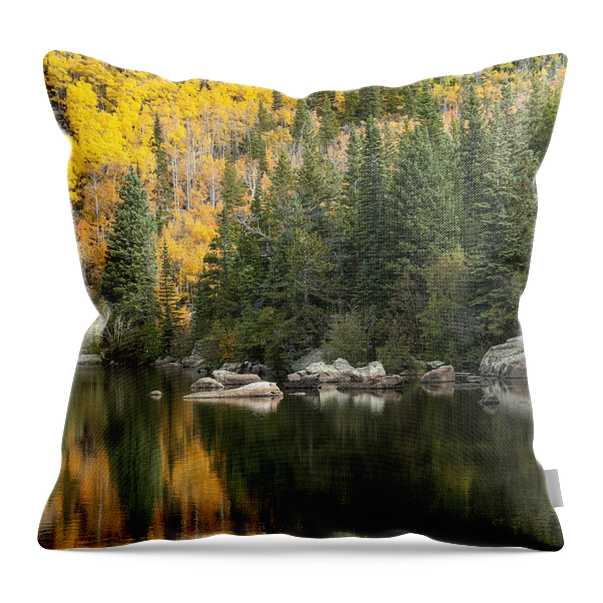Aspens Throw Pillow featuring the photograph Rocky Mountain Autumn 4 by David Drew