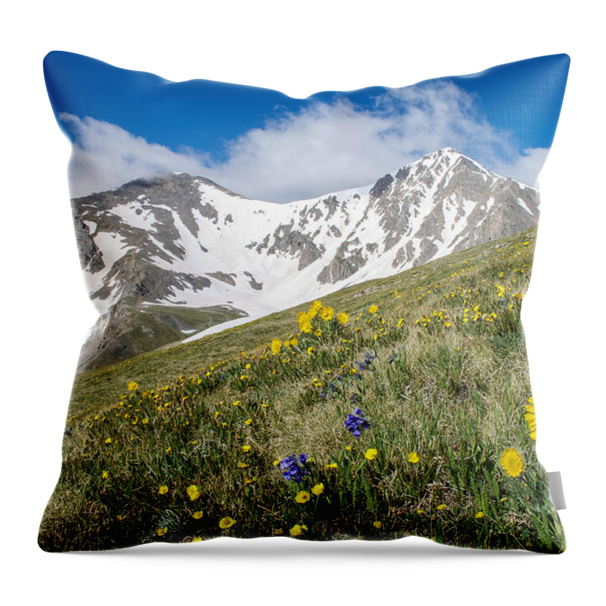 Grays Throw Pillow featuring the photograph Rocky Mountain Springtime by Aaron Spong