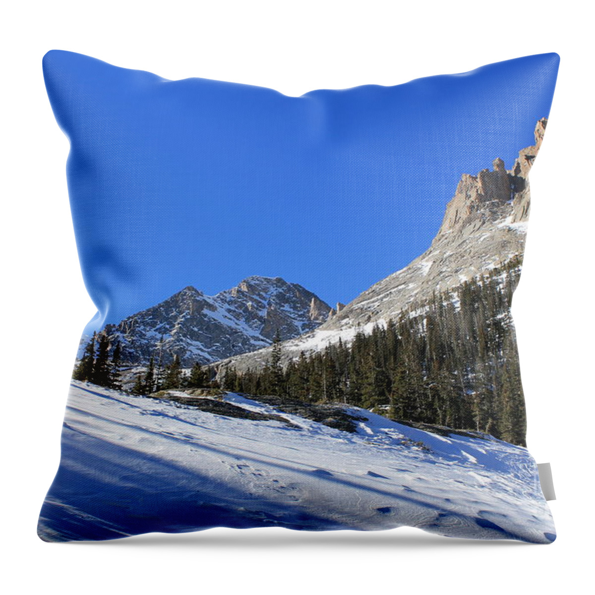 Trees Throw Pillow featuring the photograph Rocky Mountain Winter 2 by Tonya Hance