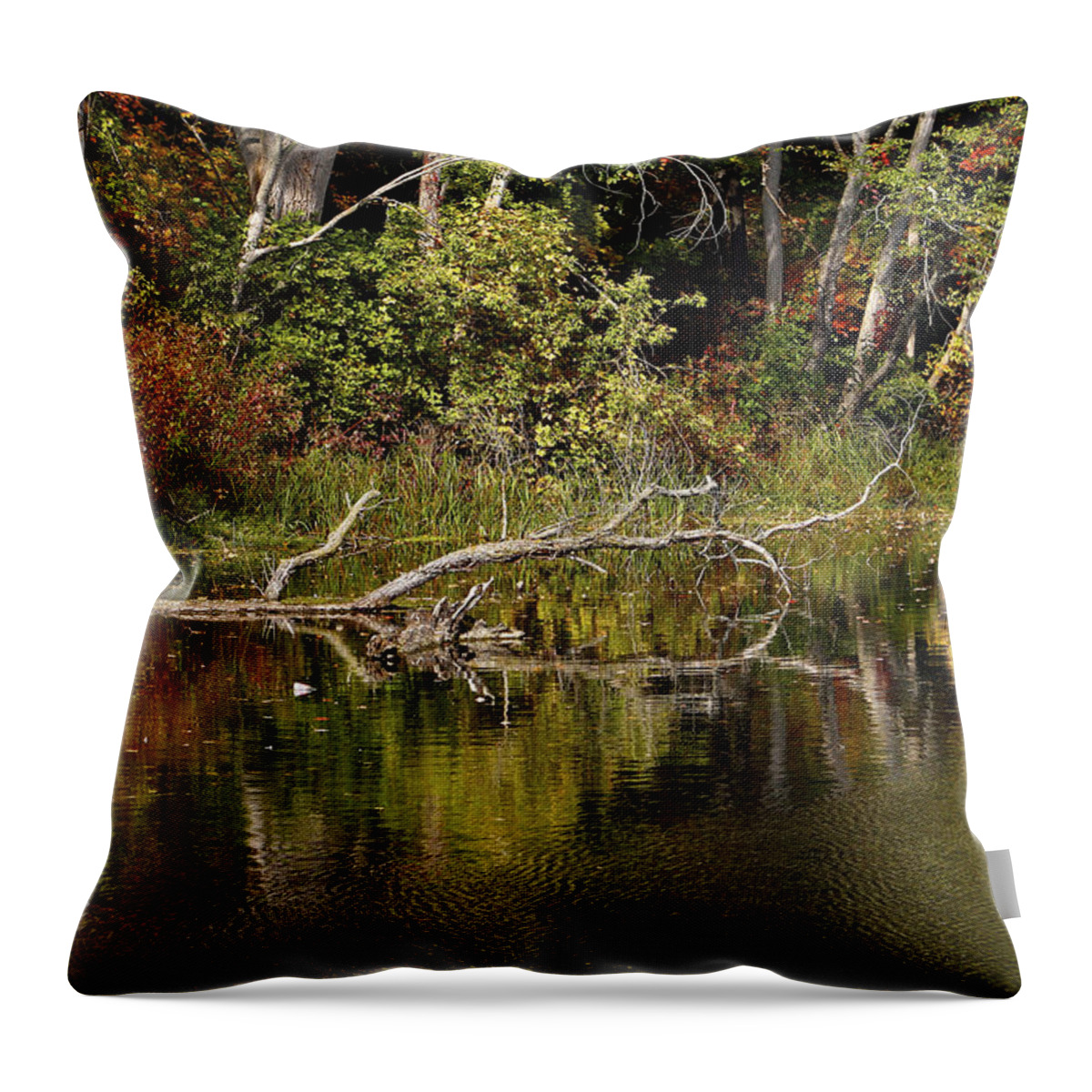 Reflections Throw Pillow featuring the photograph Rogue River Reflections by Richard Gregurich