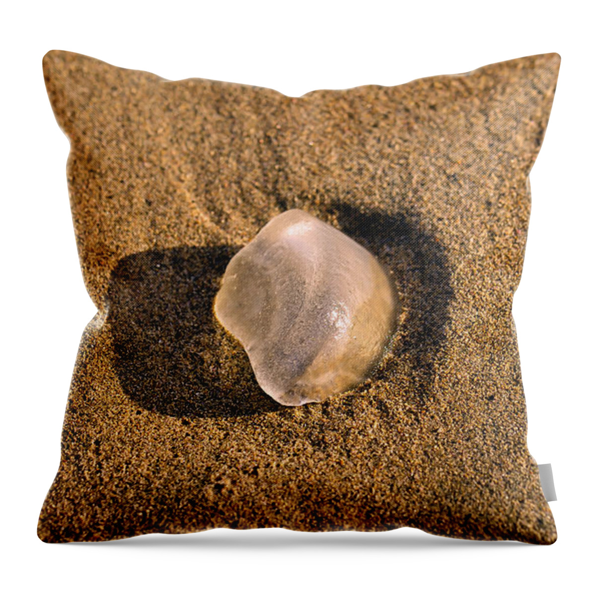 Beach Throw Pillow featuring the photograph Rolling glass by PatriZio M Busnel