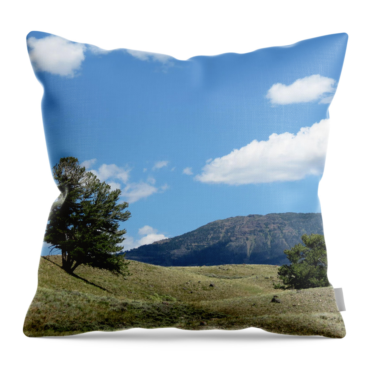 Yellowstone National Park Throw Pillow featuring the photograph Rolling Hills by Laurel Powell