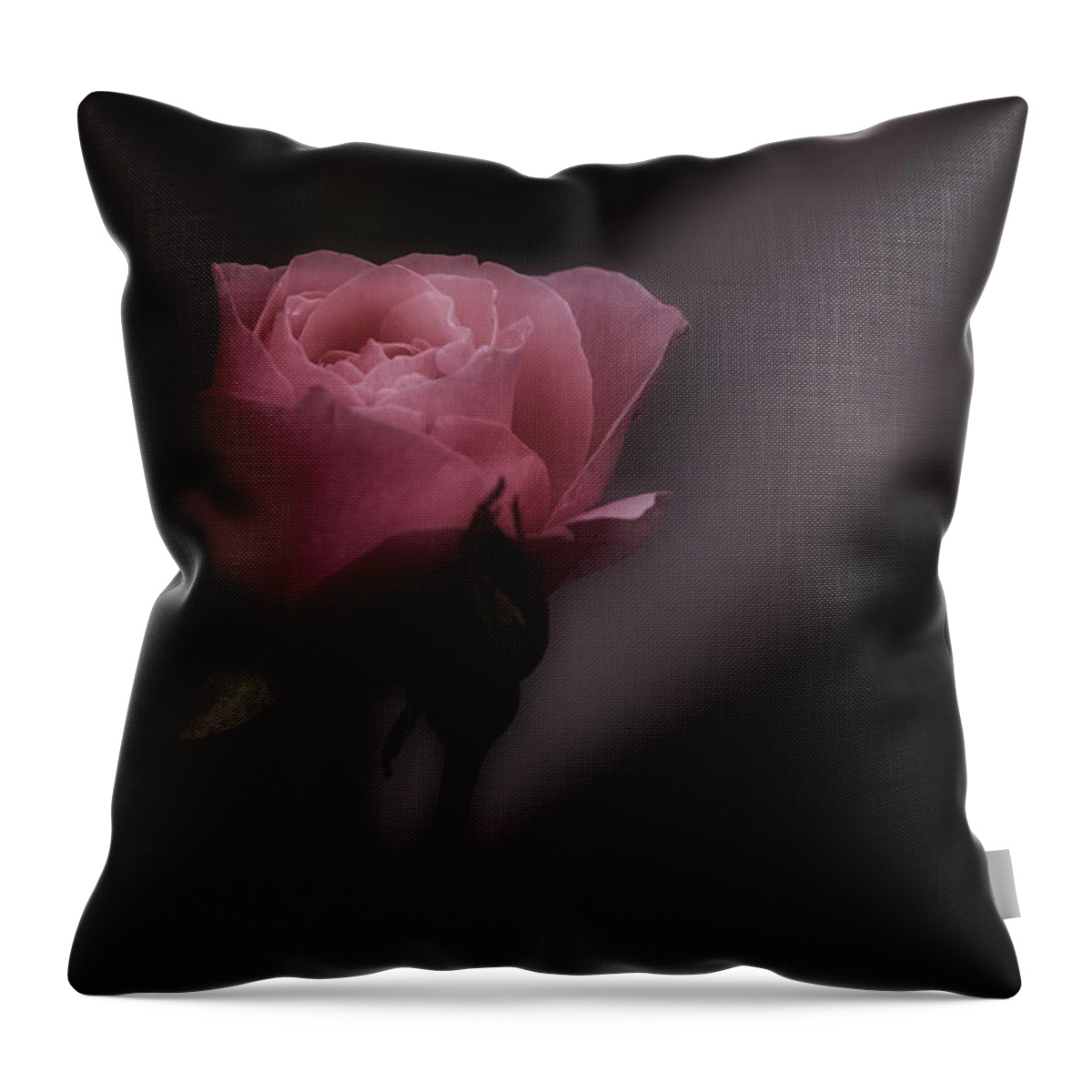 Pink Rose Throw Pillow featuring the photograph Romantic Pink Rose by Richard Cummings