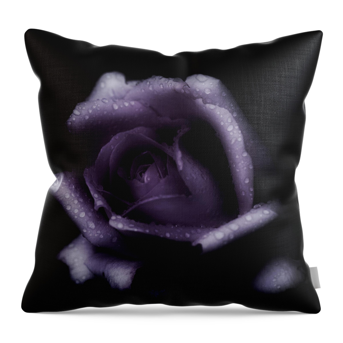 Purple Rose Throw Pillow featuring the photograph Romantic Purple Rose by Richard Cummings