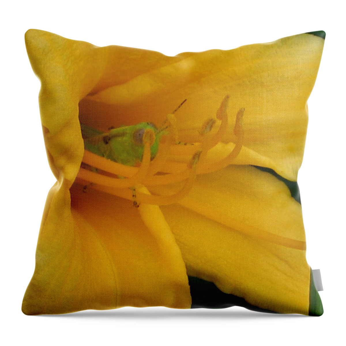 Yellow Throw Pillow featuring the photograph Room with a View by Rhonda Leonard