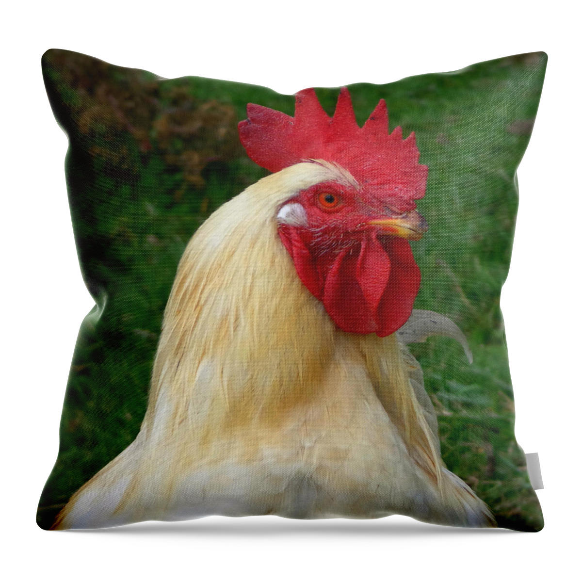 Skompski Throw Pillow featuring the photograph Rooster Cogburn by Joseph Skompski