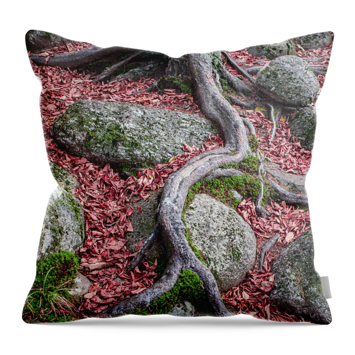 Nature Throw Pillow featuring the photograph Roots by Edward Fielding