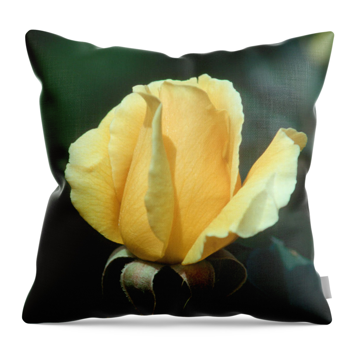 Flower Throw Pillow featuring the photograph Rose 2 by Andy Shomock