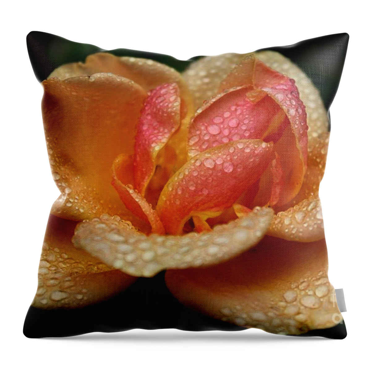 Rose Throw Pillow featuring the photograph Rose Beads by Kim Yarbrough