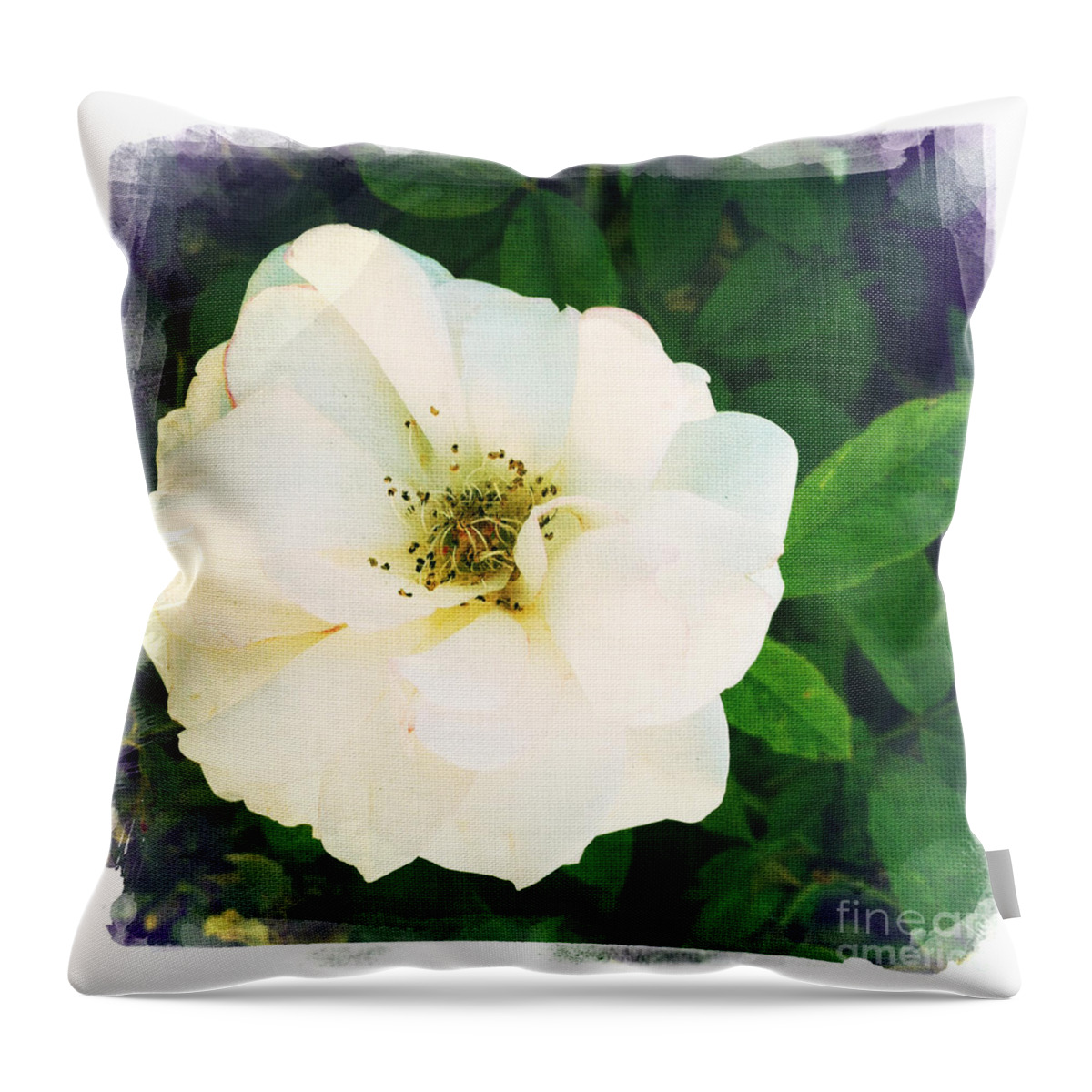 Rose Throw Pillow featuring the photograph Rose by Nina Prommer