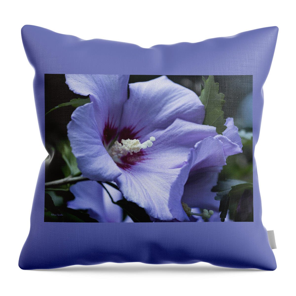 Rose Of Sharon Throw Pillow featuring the photograph Rose of Sharon by Rebecca Samler