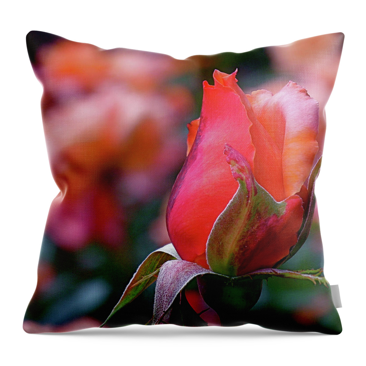 Red Rose Throw Pillow featuring the photograph Rose on Rose by Rona Black
