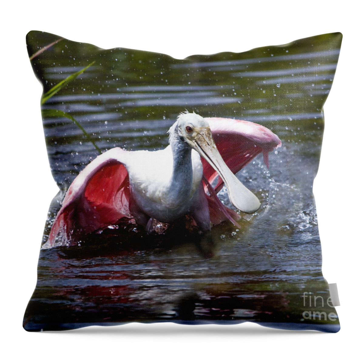 Roseate Spoonbill Throw Pillow featuring the photograph Roseate Spoonbill by John Greco