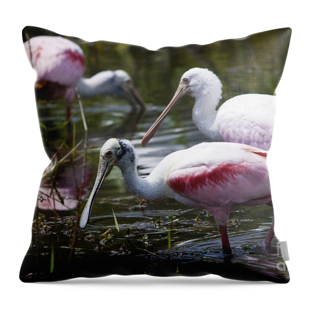 Roseate Spoonbills Throw Pillow featuring the photograph Roseate Spoonbills No.4 by John Greco