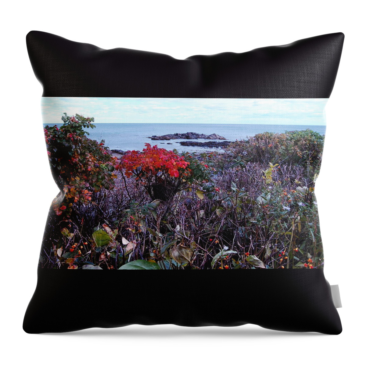 Seascape Throw Pillow featuring the photograph Rosehip by Mim White