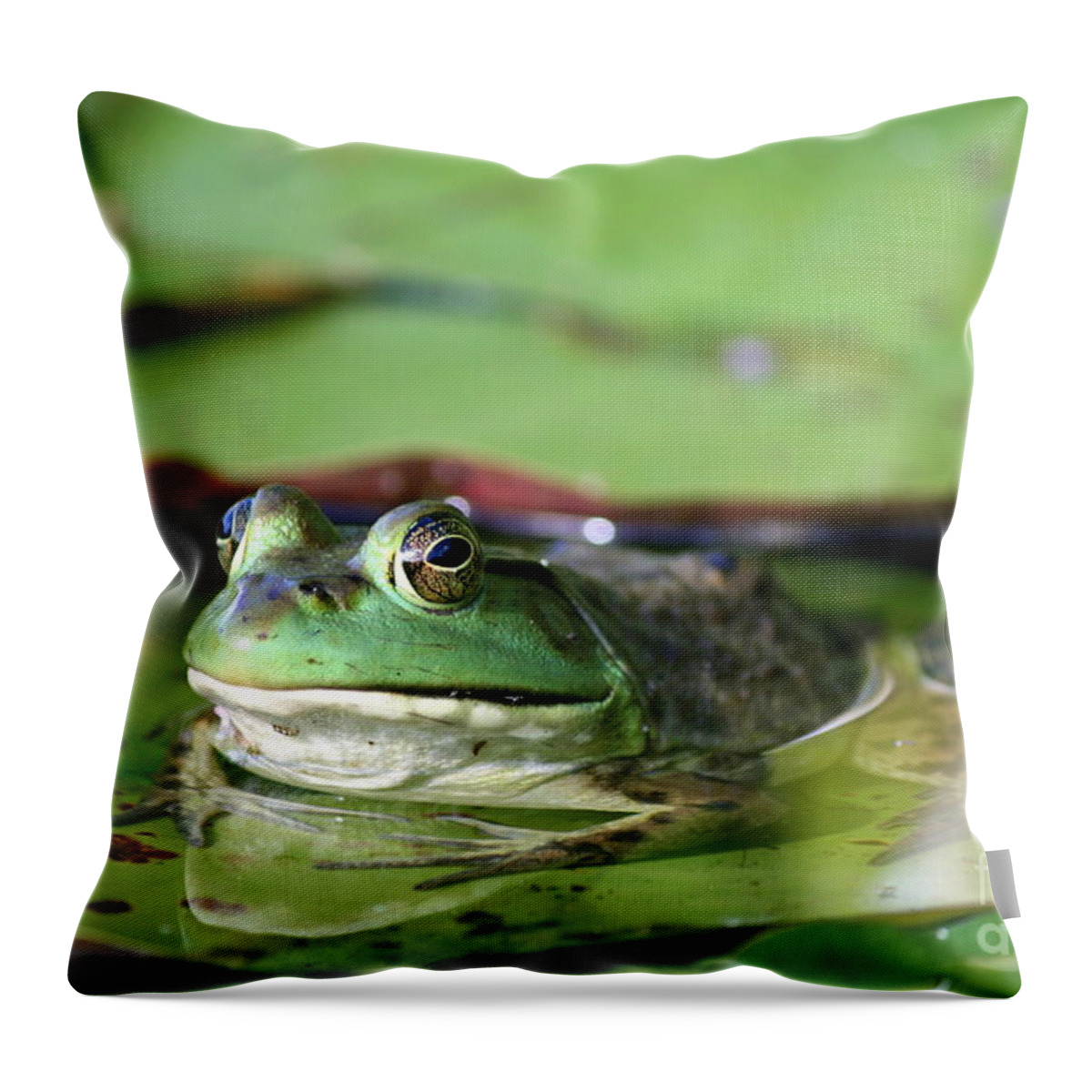 Frog Throw Pillow featuring the photograph Roseland Lake American Green Frog by Neal Eslinger
