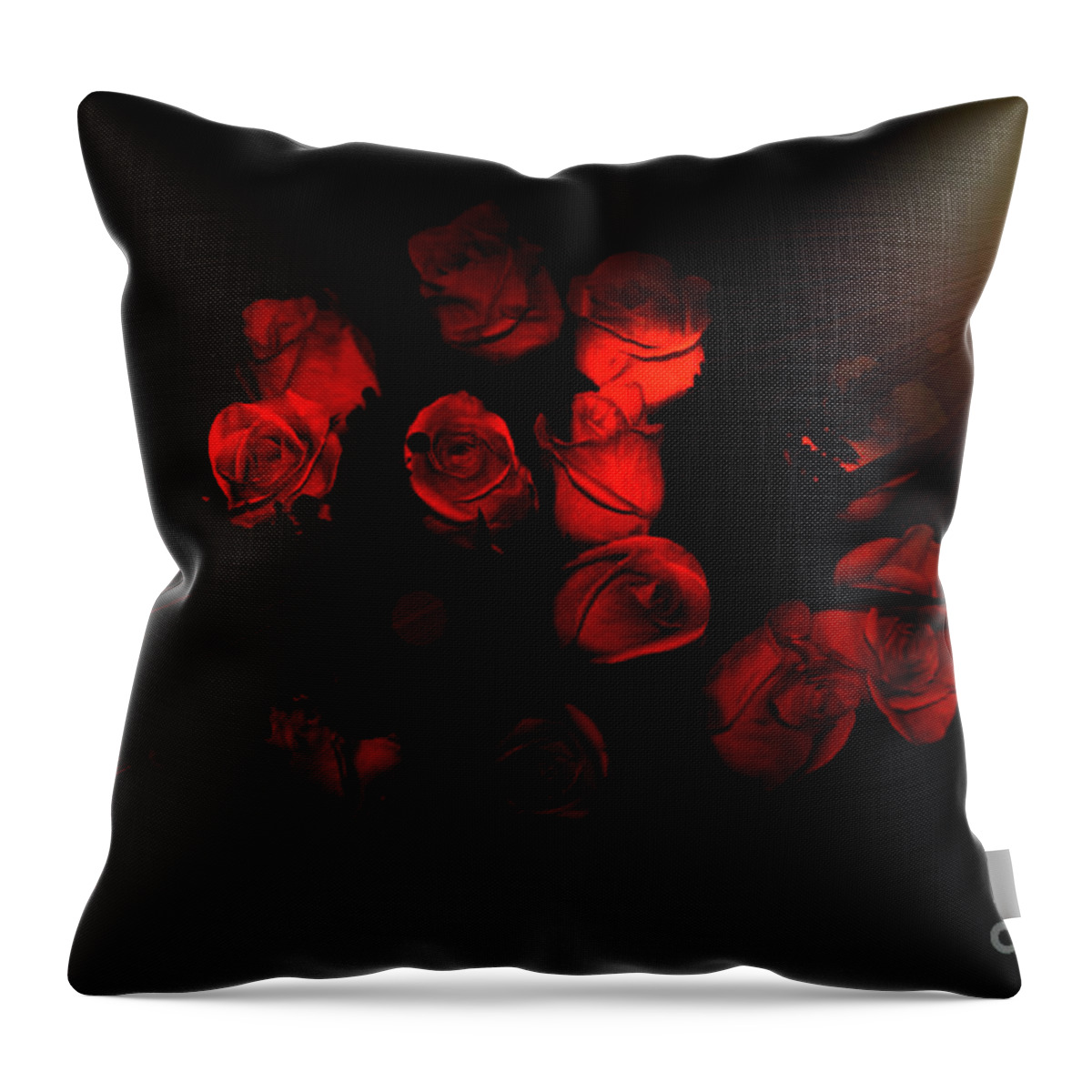 Roses Throw Pillow featuring the photograph Roses and Black by Oksana Semenchenko