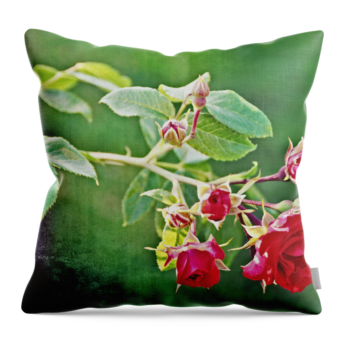 Rose Throw Pillow featuring the photograph Roses Are Red My Love by Mike Martin
