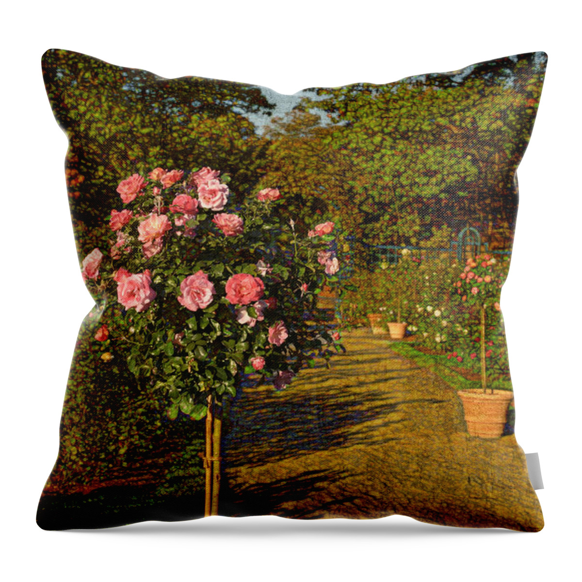 Nyc Throw Pillow featuring the photograph Roses in the Garden by Marianne Campolongo