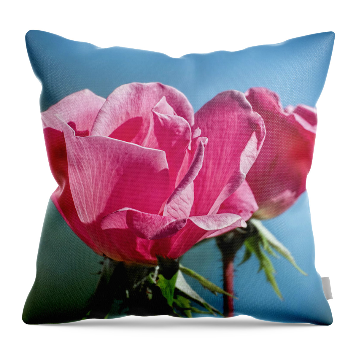Kansas Throw Pillow featuring the photograph Roses by Rob Graham