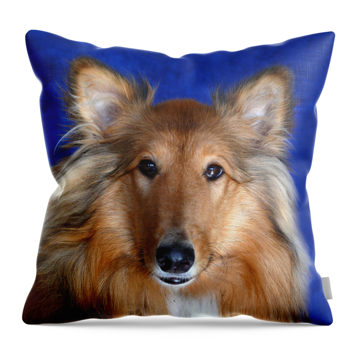 Animal Throw Pillow featuring the photograph Rosie by Evelyn Tambour