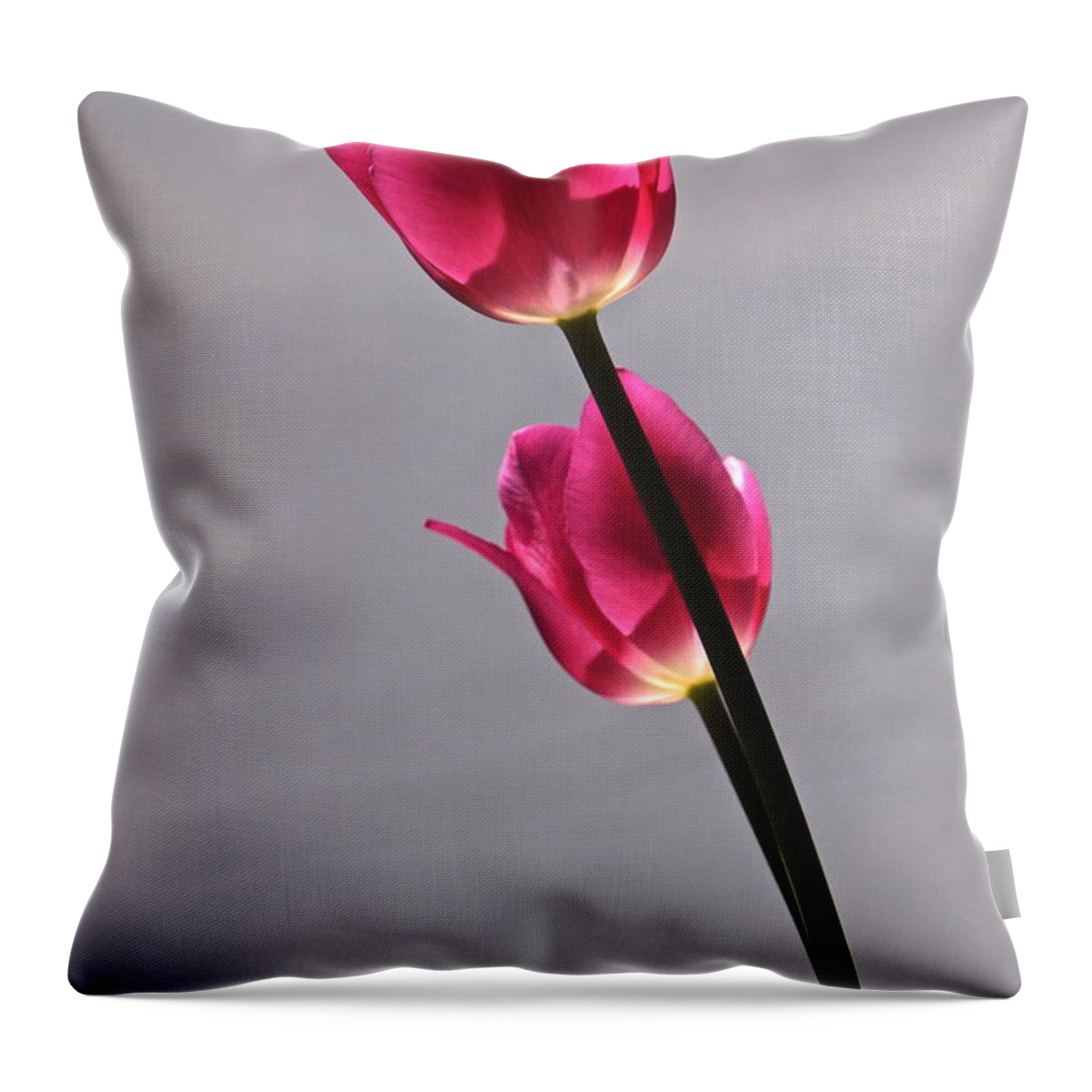 Rosy Magenta Single Tulips Throw Pillow featuring the photograph Rosy Loveliness for a Gray Day by Byron Varvarigos