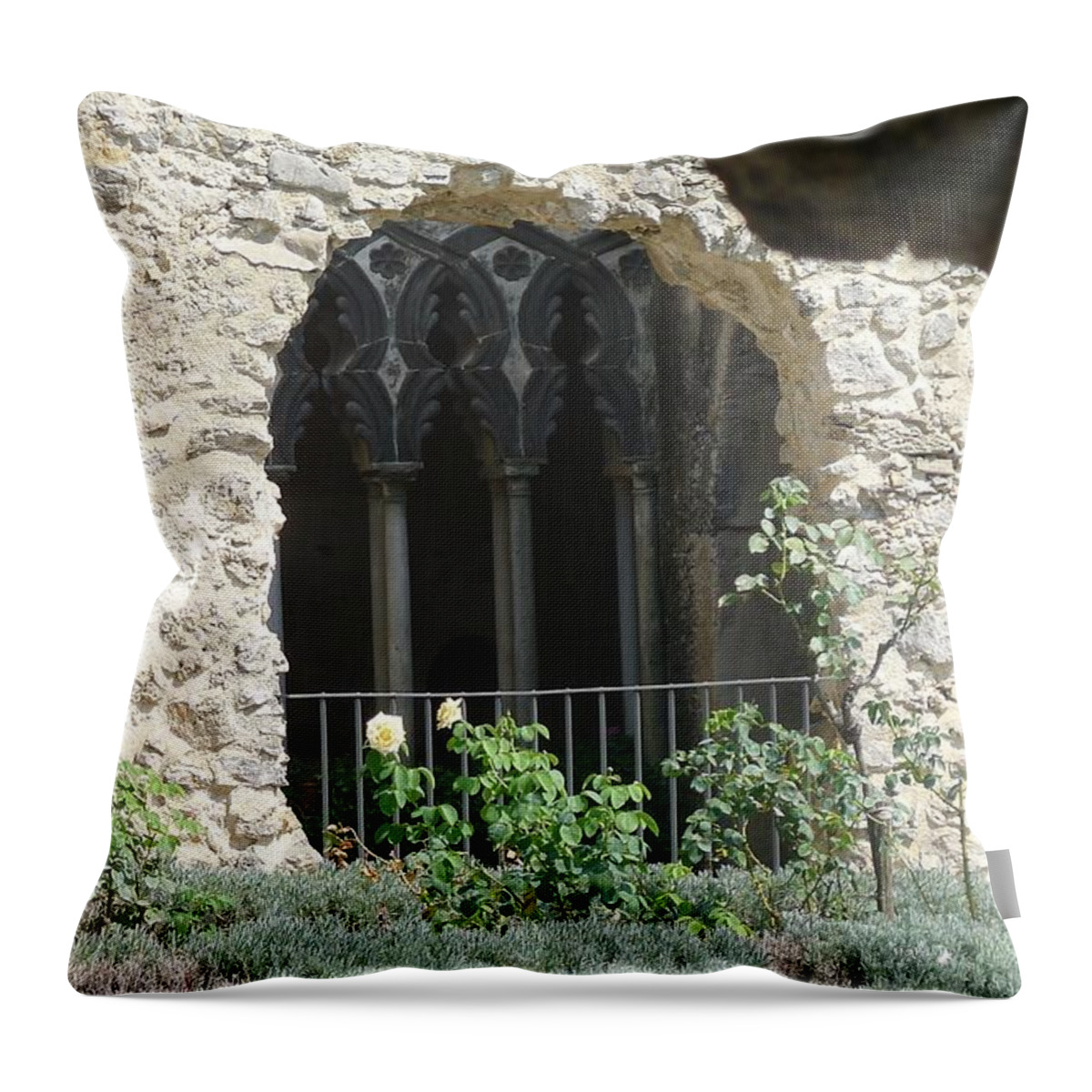  Throw Pillow featuring the photograph Rough Arches by Nora Boghossian