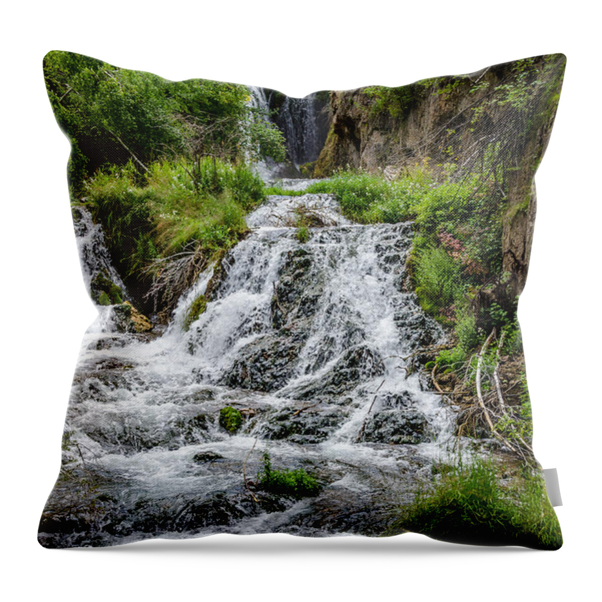 Roughlock Falls South Dakota Throw Pillow featuring the photograph Roughlock Falls South Dakota by Debra Martz