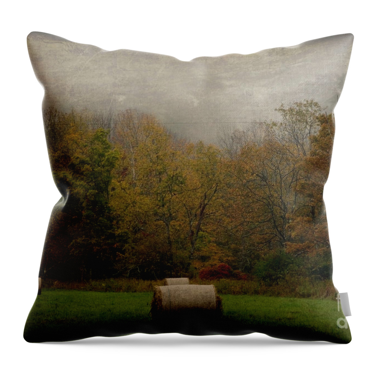 Bale Throw Pillow featuring the photograph Round Bales by Debra Fedchin